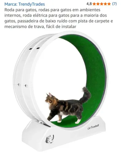 Roda elétrica grande para gatos