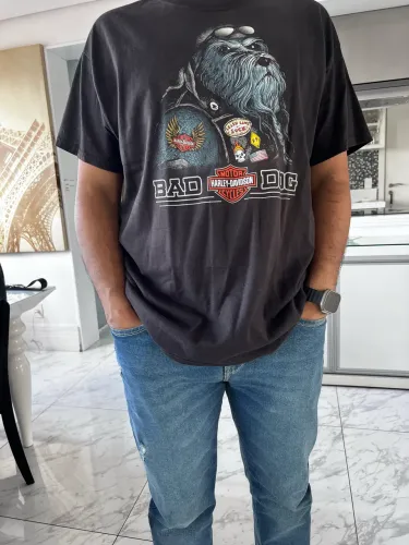 Camiseta da Harley Davidson EUA !!