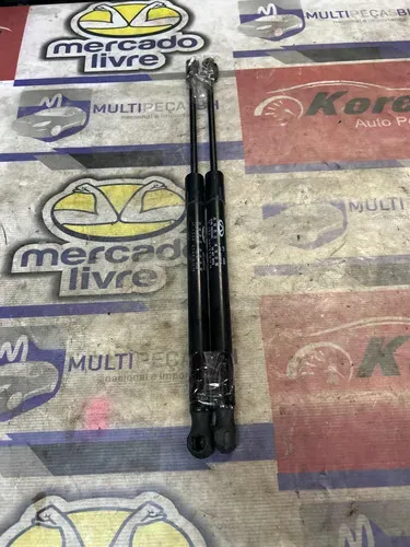 Amortecedor Tampa Traseira (j696309010) Chery Tiggo 2 18/22