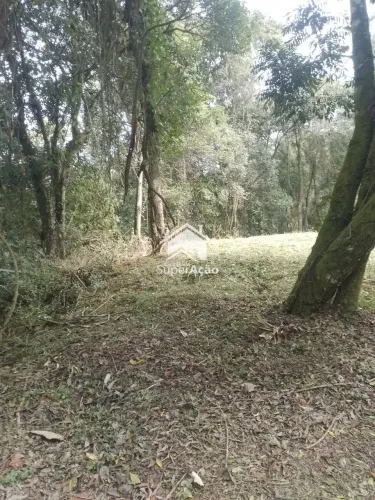 Terreno Aprovado - Serra da Cantareira