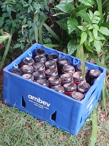 Caixa vasilhame 300 ml