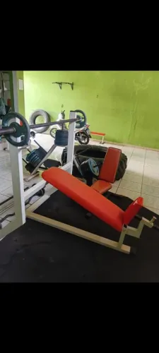 Musculação 