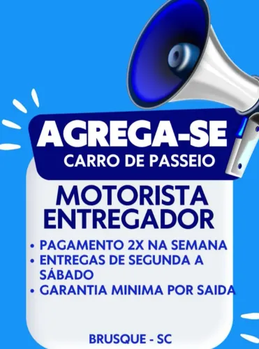 Motorista carro de passeio autônomo 