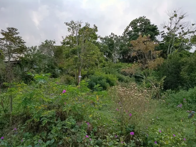 Vendo Terreno 3.240m2 Bandeirantes 2 Tanguá