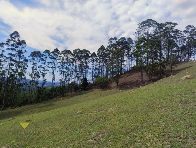 Sítio com 4 dormitórios à venda, 796000 m² por R$ 2.800.000,00 - Nha Luz - Salesópolis/SP