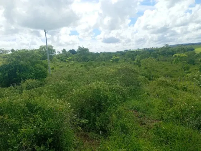 Fazenda com 75 tarefas, água e energia trifásica em Terra Nova/BA