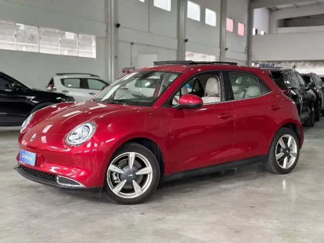 GWM Ora 03 Skin (elétrico) 2026