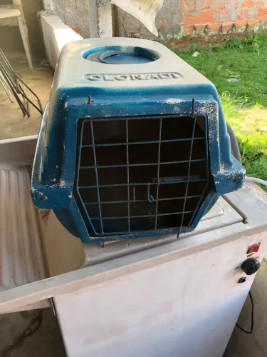 Transporte para gatos e cachorros