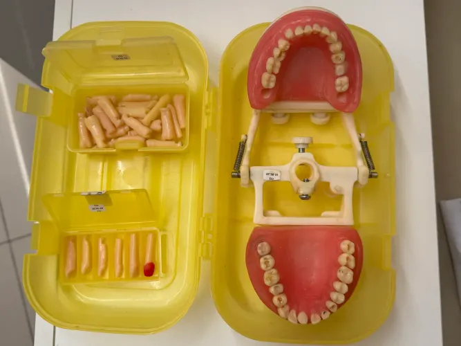 Manequim Pronew (+ 2 caixas de dentes)