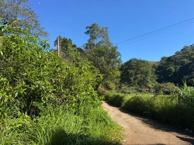LOTE - SUPER PREÇO