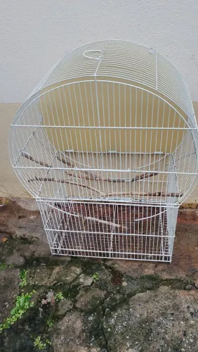 Viveiro para periquitos passarinhos e calopsita