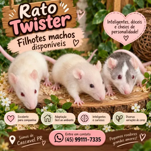 Rato Twister 