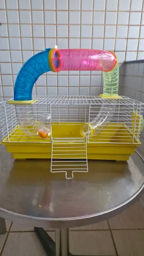 Gaiola para hamster