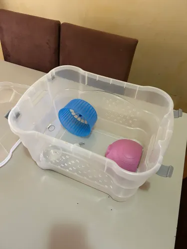 Cada pra Hamster