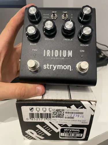 Strymon iridium