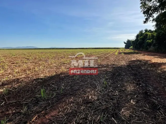 Fazenda 150 Alqueires (726 Hectares) Ceres - GO