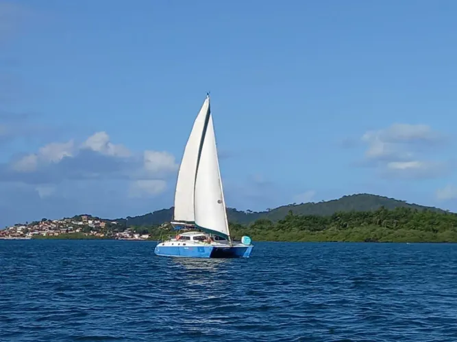 Catamarã a vela Kelly 37