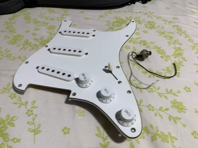 Escudo Completo Para Guitarra