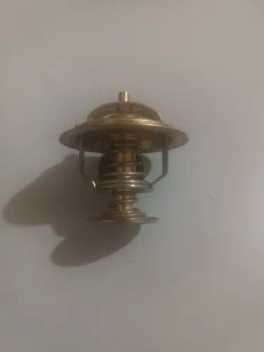 Válvula Termostática Original Wahler F1000 F4000 D20 Trator - Nova