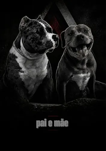 Filhotes de pit monster