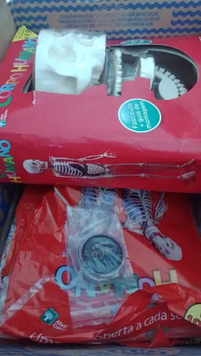Coleção corpo humano