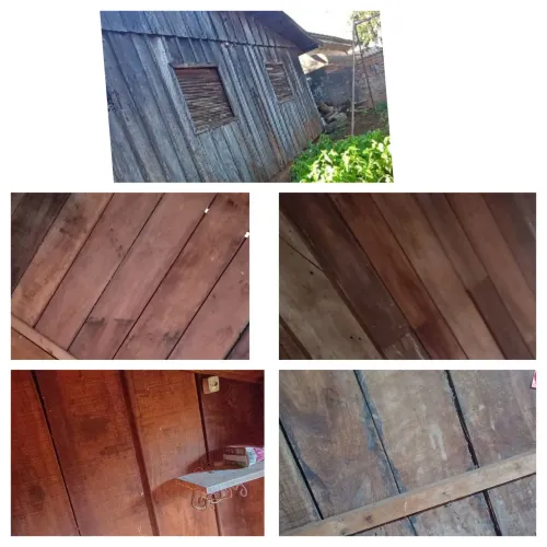 Madeira de peroba, casa para desmanche cerca de 40m²
