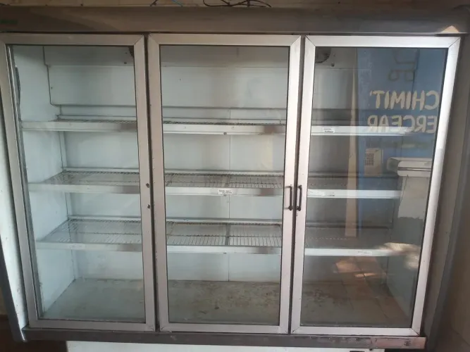 Expositora 220v