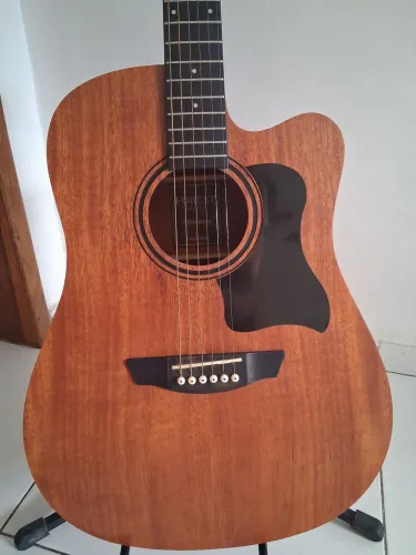 Violão Strinberg Forest Series (Muito Novo)