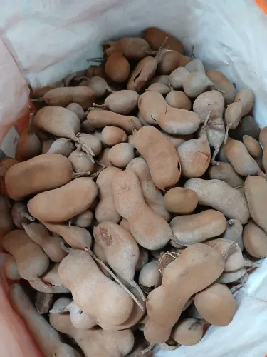Vende-se tamarindo