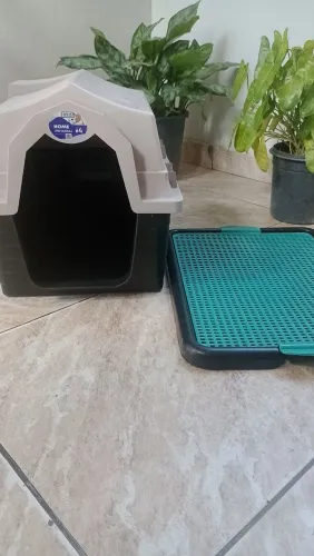 Casinha de cachorro com tapete higiênico