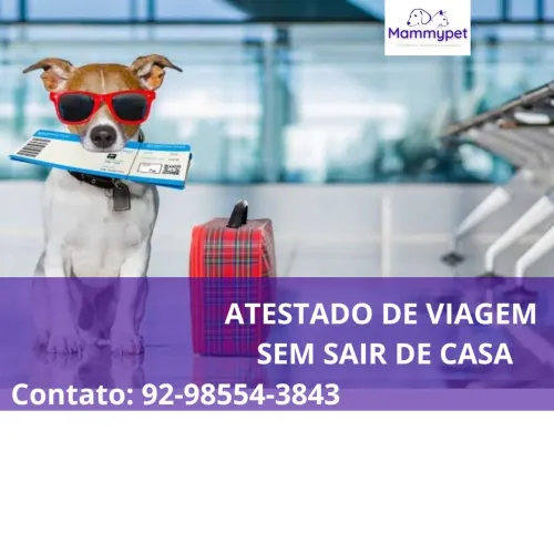 Atestado de viagem e vacinas