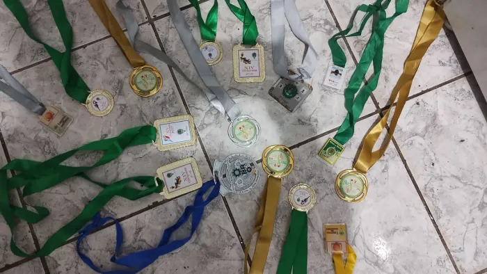 Medalhas de competição 