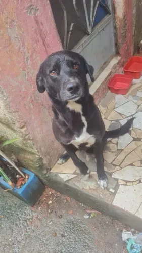 Doação
