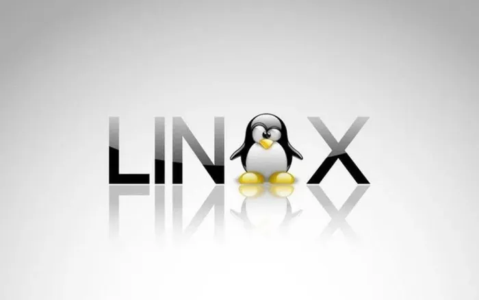 Instalo windows e linux em nootbooks e pc