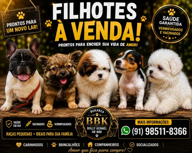 Filhotes disponíveis