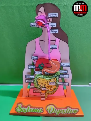 Maquetes Escolares Personalizadas