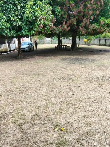 Mini chacara
