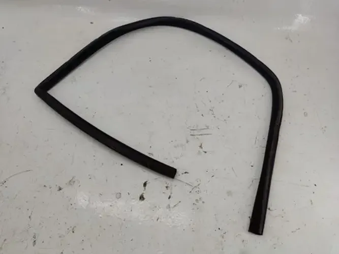 Borracha Da Porta Dianteira Direita Fiat Palio 2009