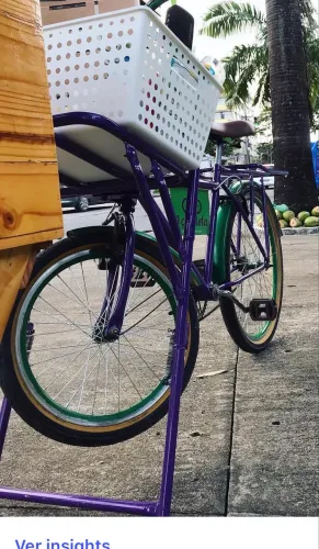 Bicicleta de carga
