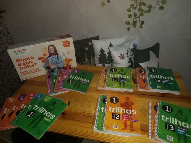Vendo livros didáticos 1°ano médio 