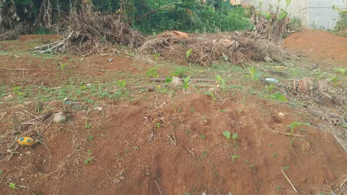 Vende-se terreno
