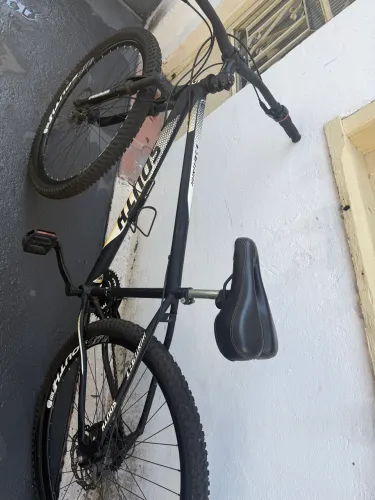 Bicicleta South