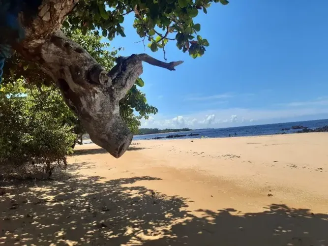 Lotes a 50m do Mar , Praia Grande Fundão