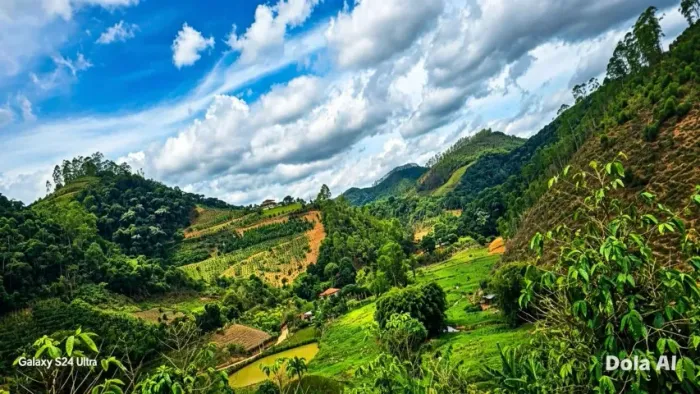 SÍTIOS COM VISTA PANORÂMICA NAS MONTANHAS DE DOMINGOS MARTINS - ES | OPORTUNIDADE ÚNICA |