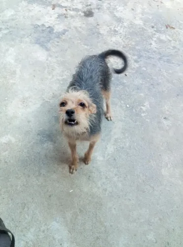 Doação