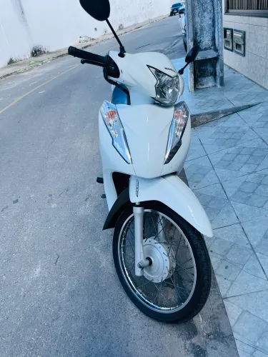 Biz 110 2018