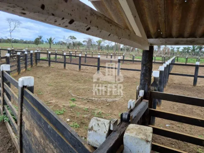 Fazenda com 6 dormitórios à venda, m² por R$ 62.000.000,00 - Zona Rural - Campos Altos/MG