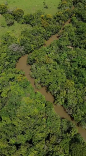 Sítio de 10 alqueires com rio | Ideal para criação de gado | Corumbá de Goiás