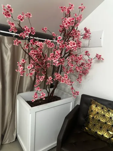 Cerejeira decoração