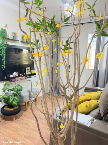 Apartamento para Venda em Bauru, Vila Cardia, 2 dormitórios, 1 banheiro, 1 vaga